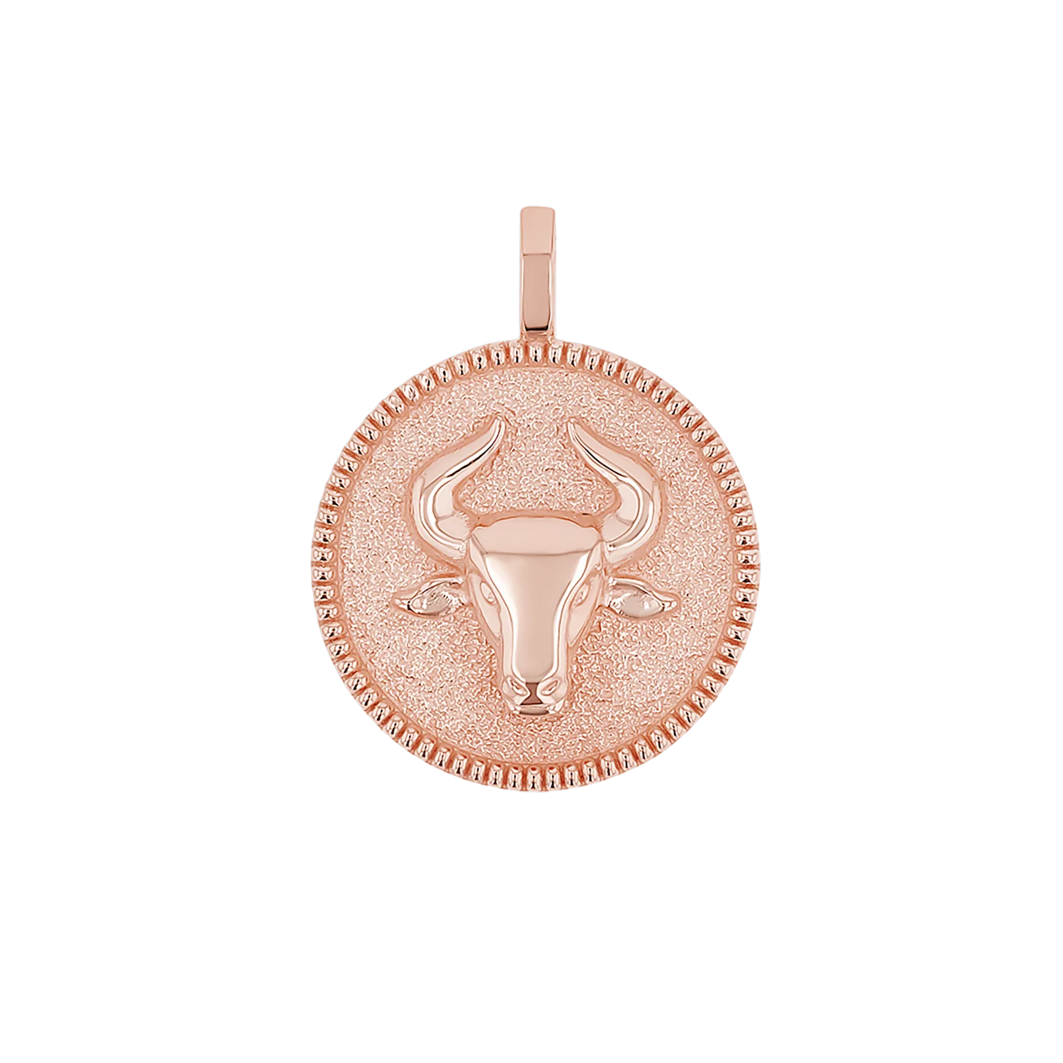 Zodiac Coin Medallion Charm - Image 35