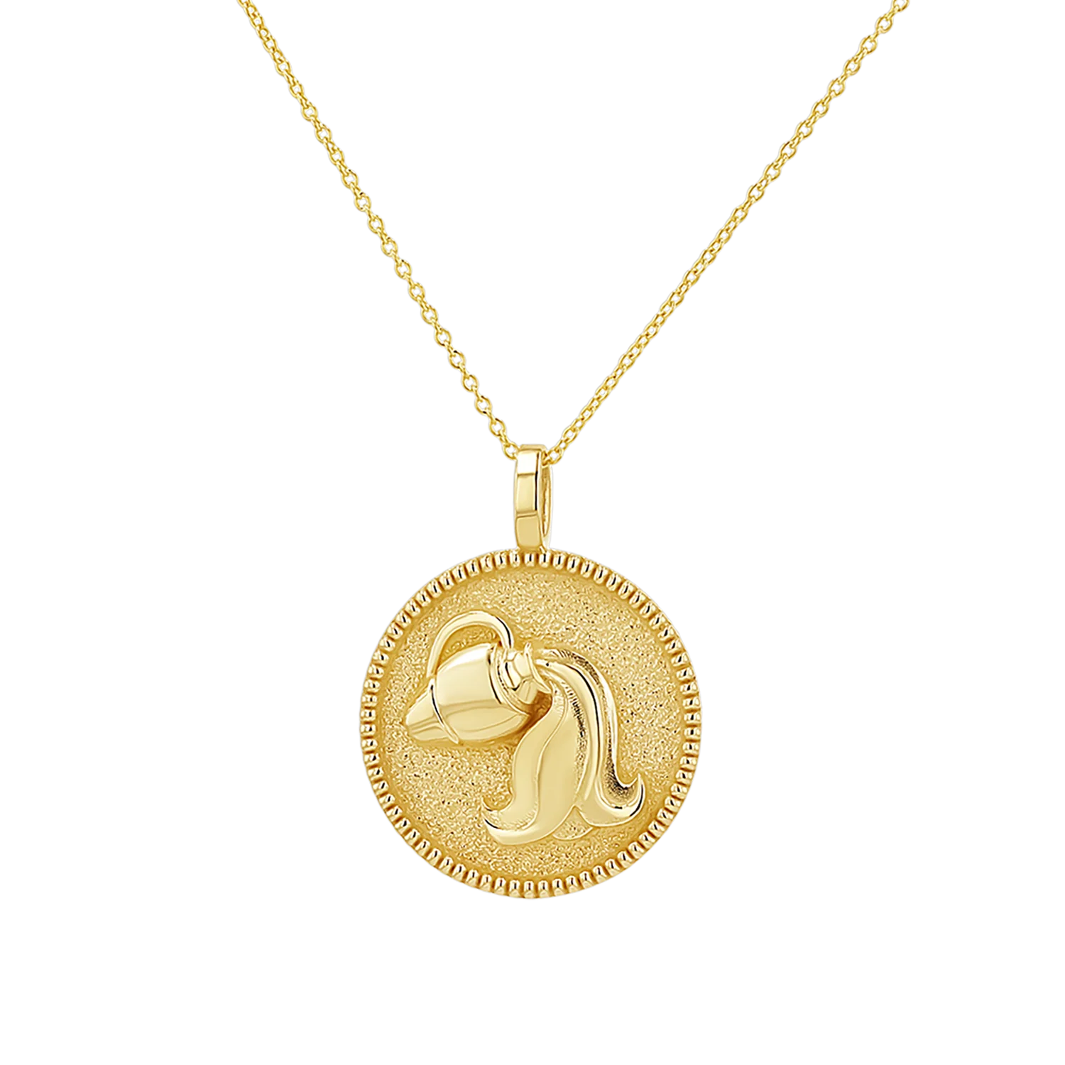 Zodiac Coin Medallion Necklace