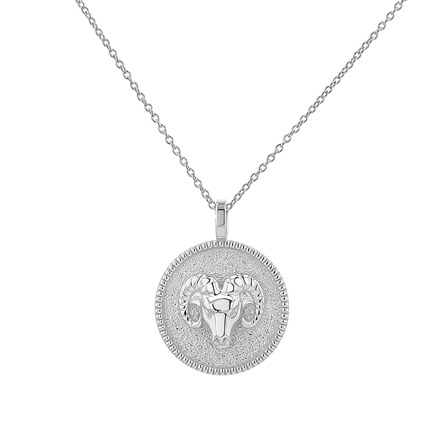 Zodiac Coin Medallion Necklace - Image 16