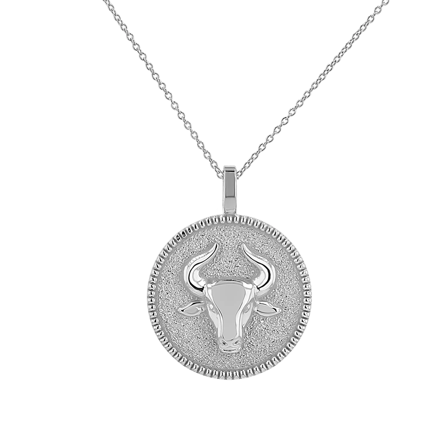 Zodiac Coin Medallion Necklace - Image 17